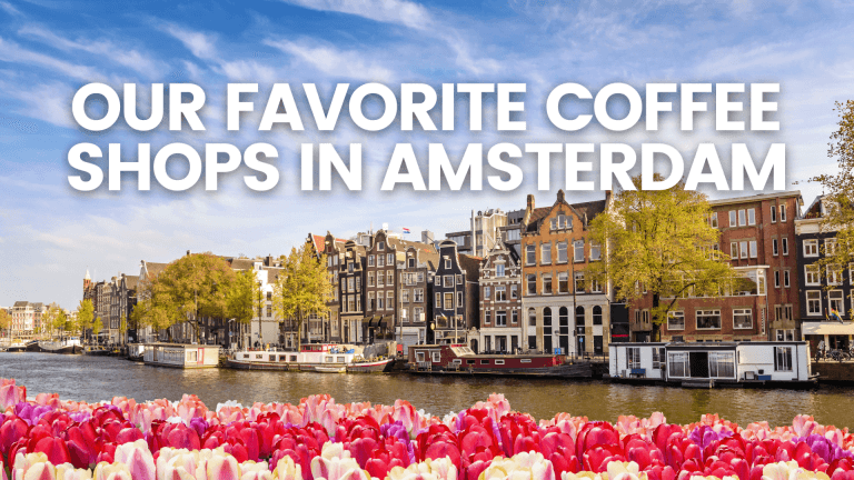 Coffee Shops in Amsterdam