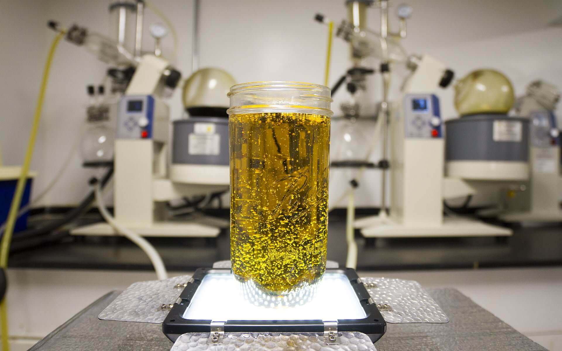 Cannabis extraction laboratory with rotary evaporators and a jar of cannabis distillate on a light box, representing the Bel Costa Labs cannabinoid potency and pesticide panels Rove runs on every batch before retail release
