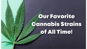 Cannabis Strains
