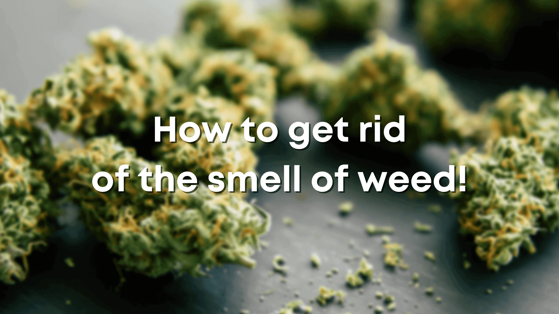 how to get rid of the smell of marijuana