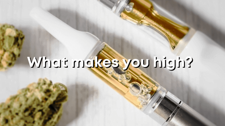 How does thc make you high?