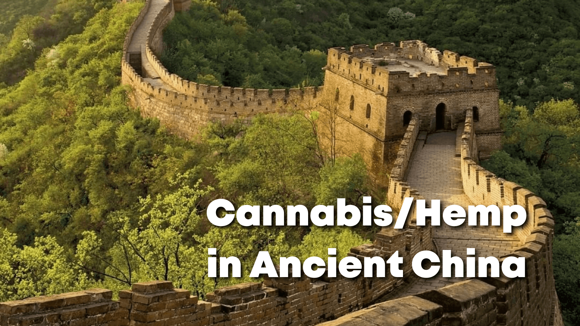 Can you buy weed in china?