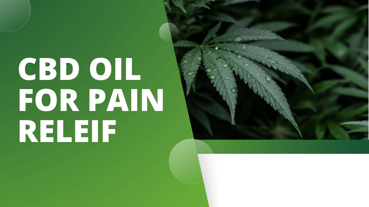 cbd oil for pain relief