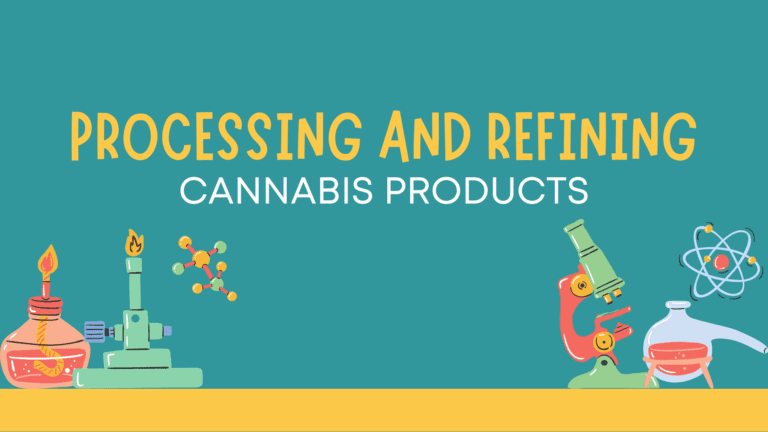 how to process and refine cannabis