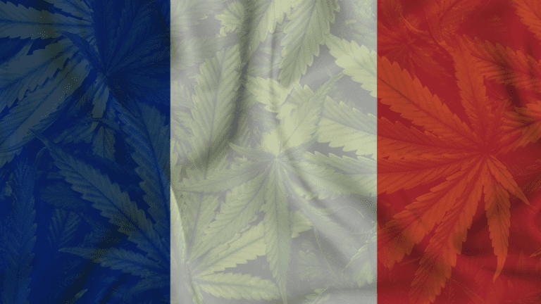 Cannabis in France: A Profound Exploration of History