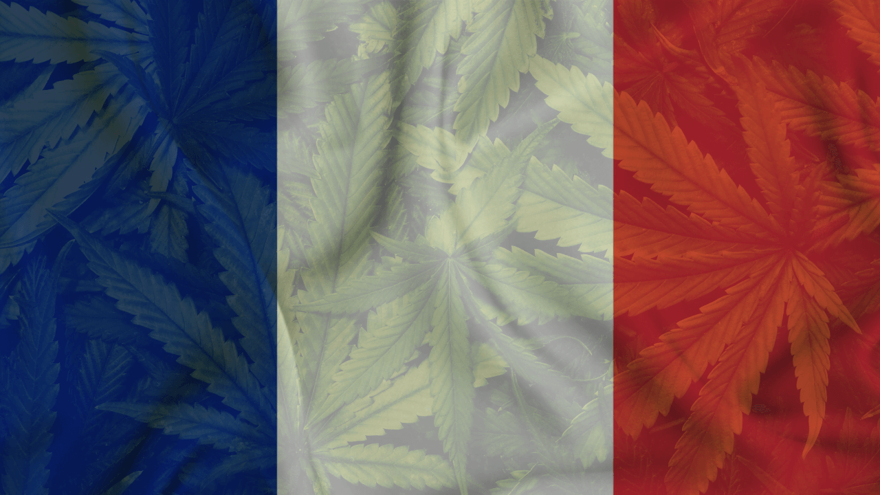 Cannabis in France: A Profound Exploration of History