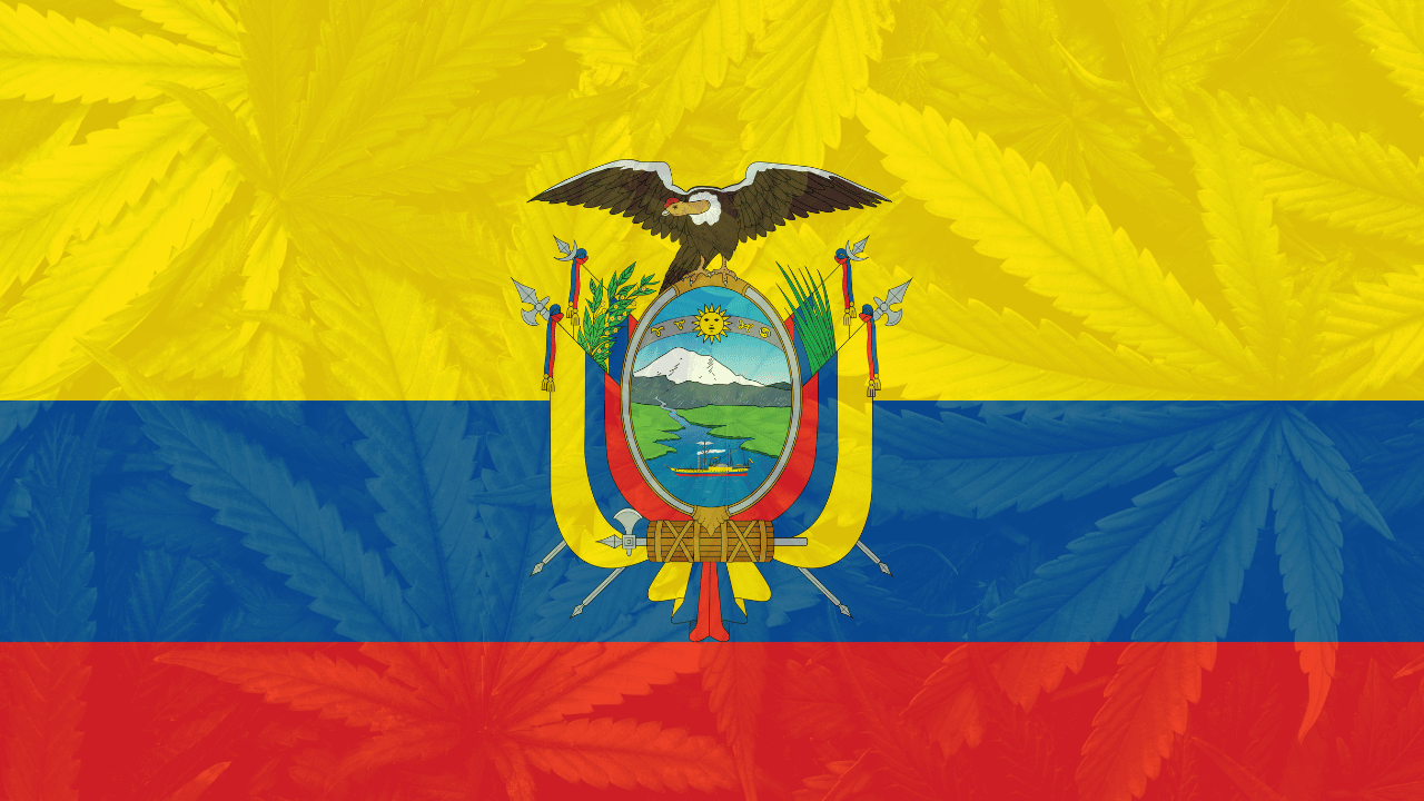 Ecuador and cannabis