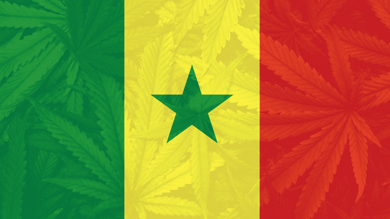 Senegal's