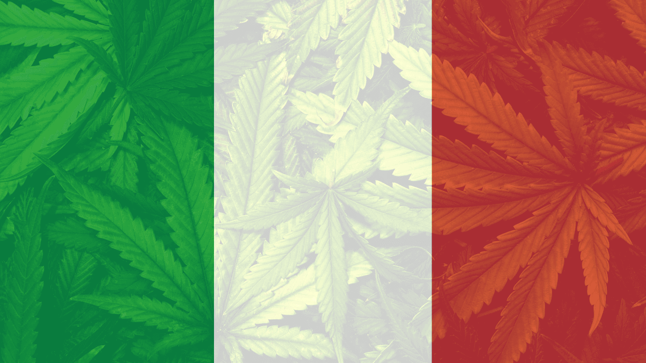 Italy and Cannabis