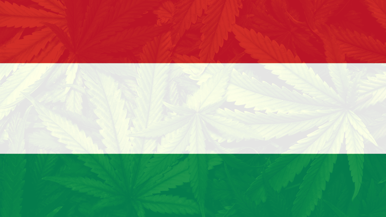 cannabis in Hungary