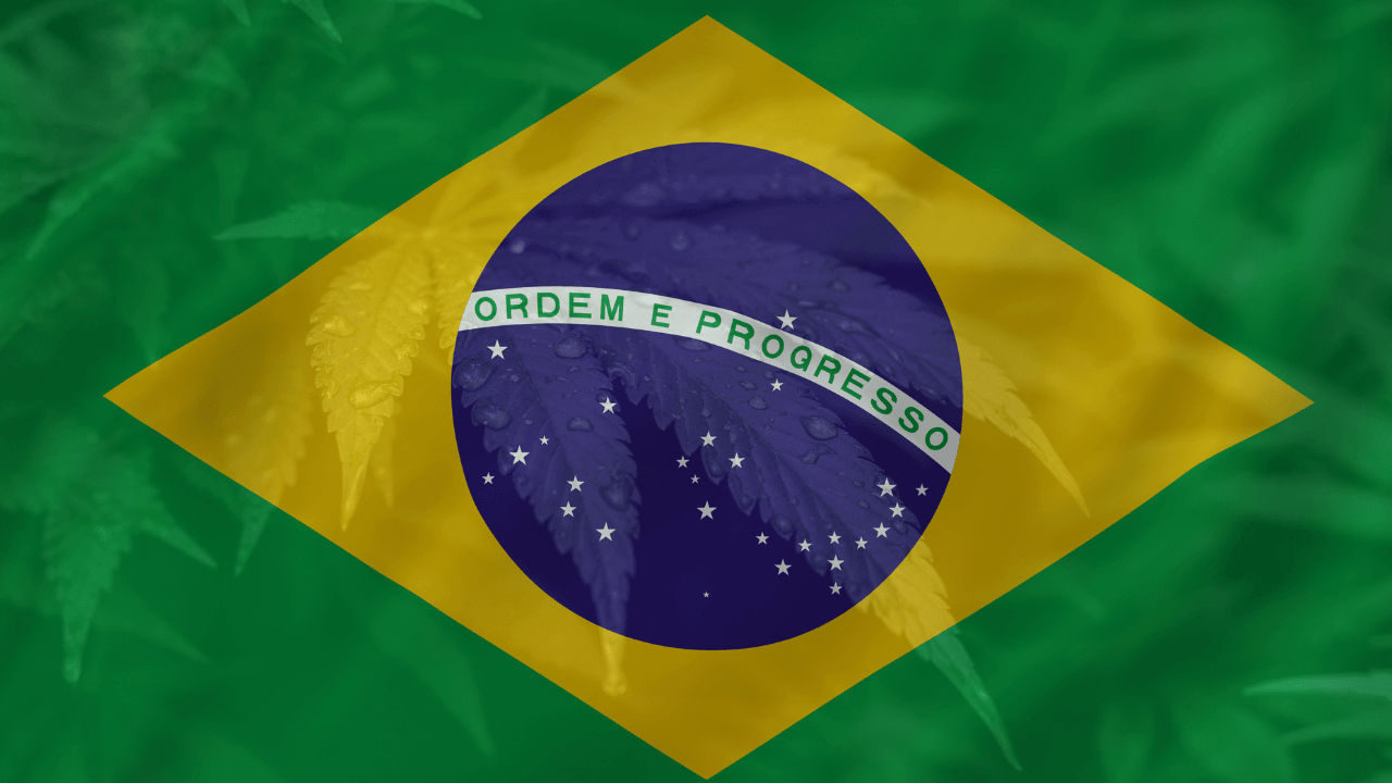 Cannabis in Brazil