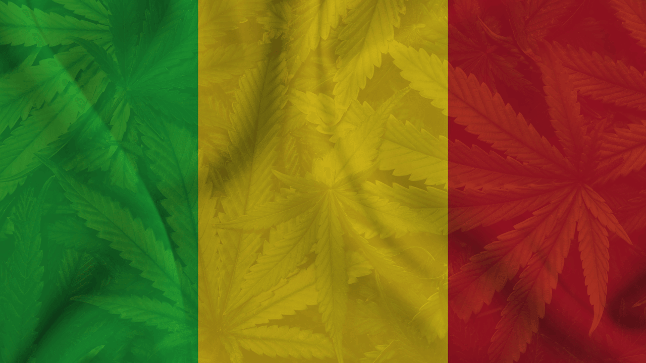 Cannabis in Mali