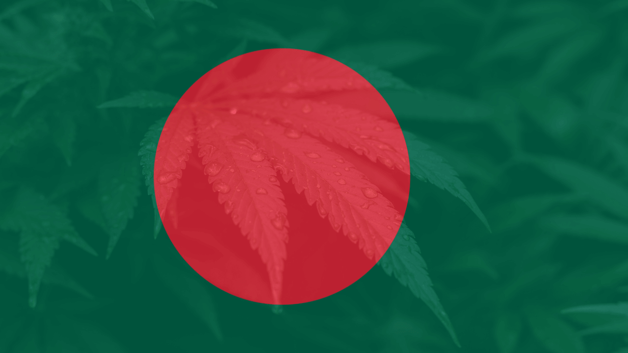 Bangladesh and Cannabis