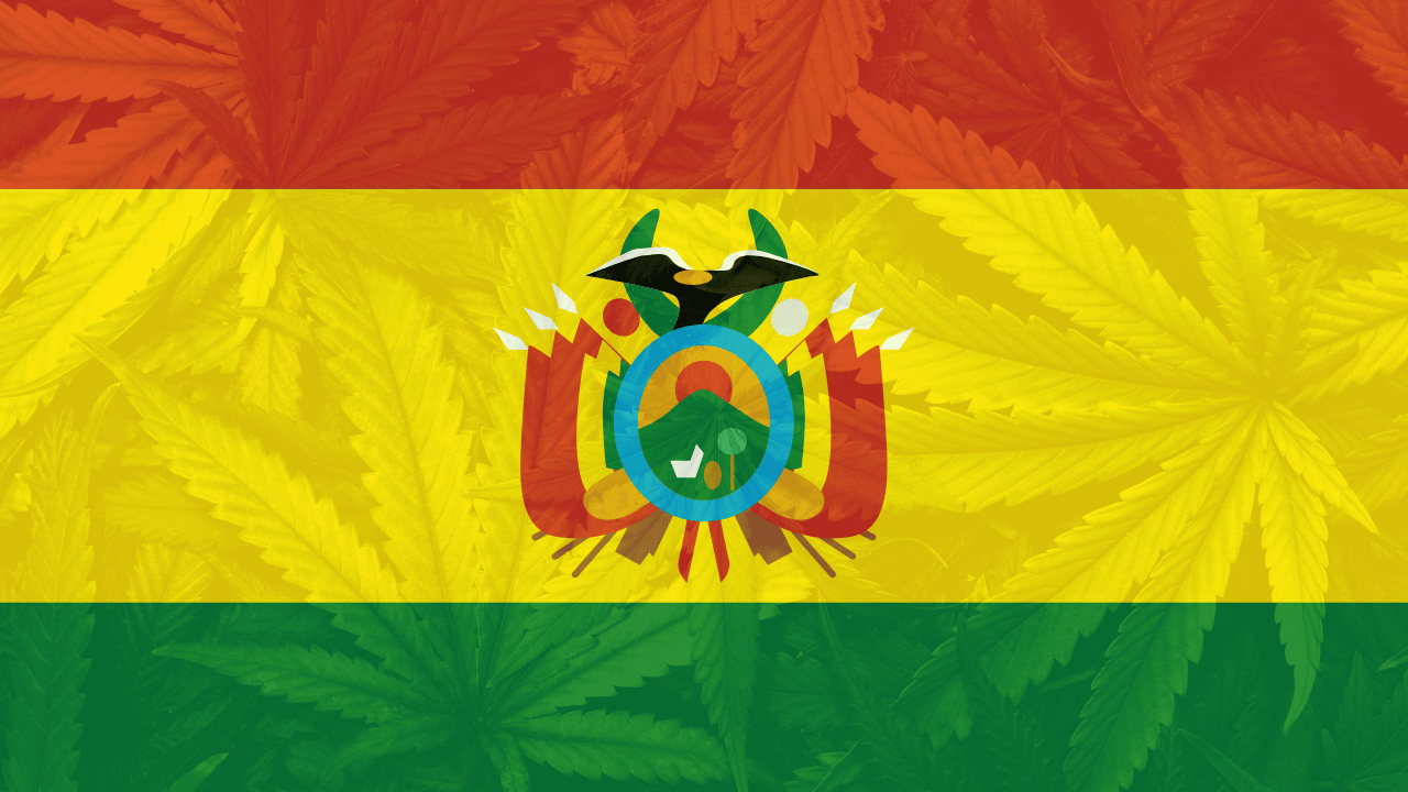 Cannabis in Bolivia