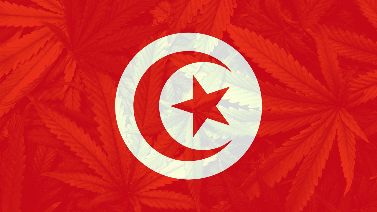 Cannabis in Tunisia