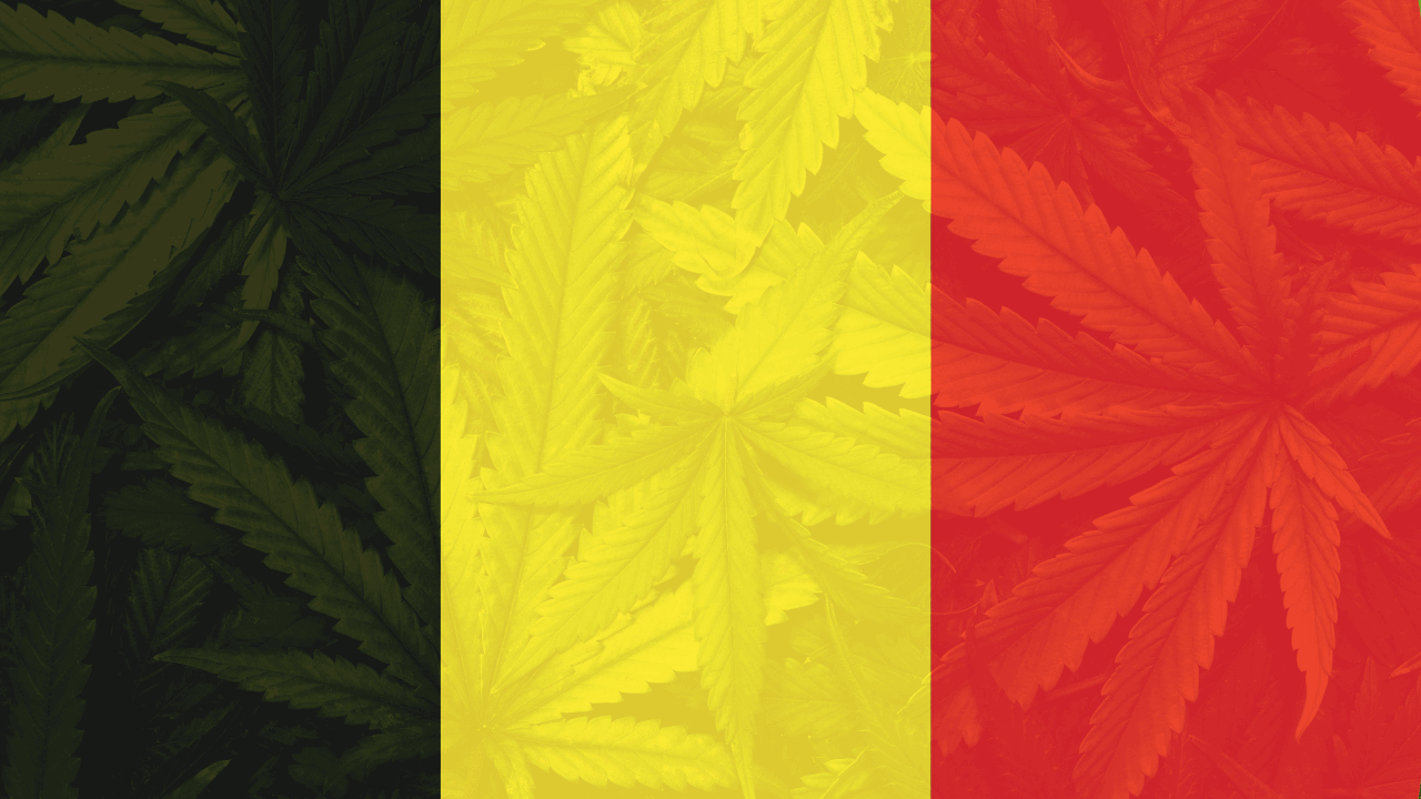 Cannabis in Belgium