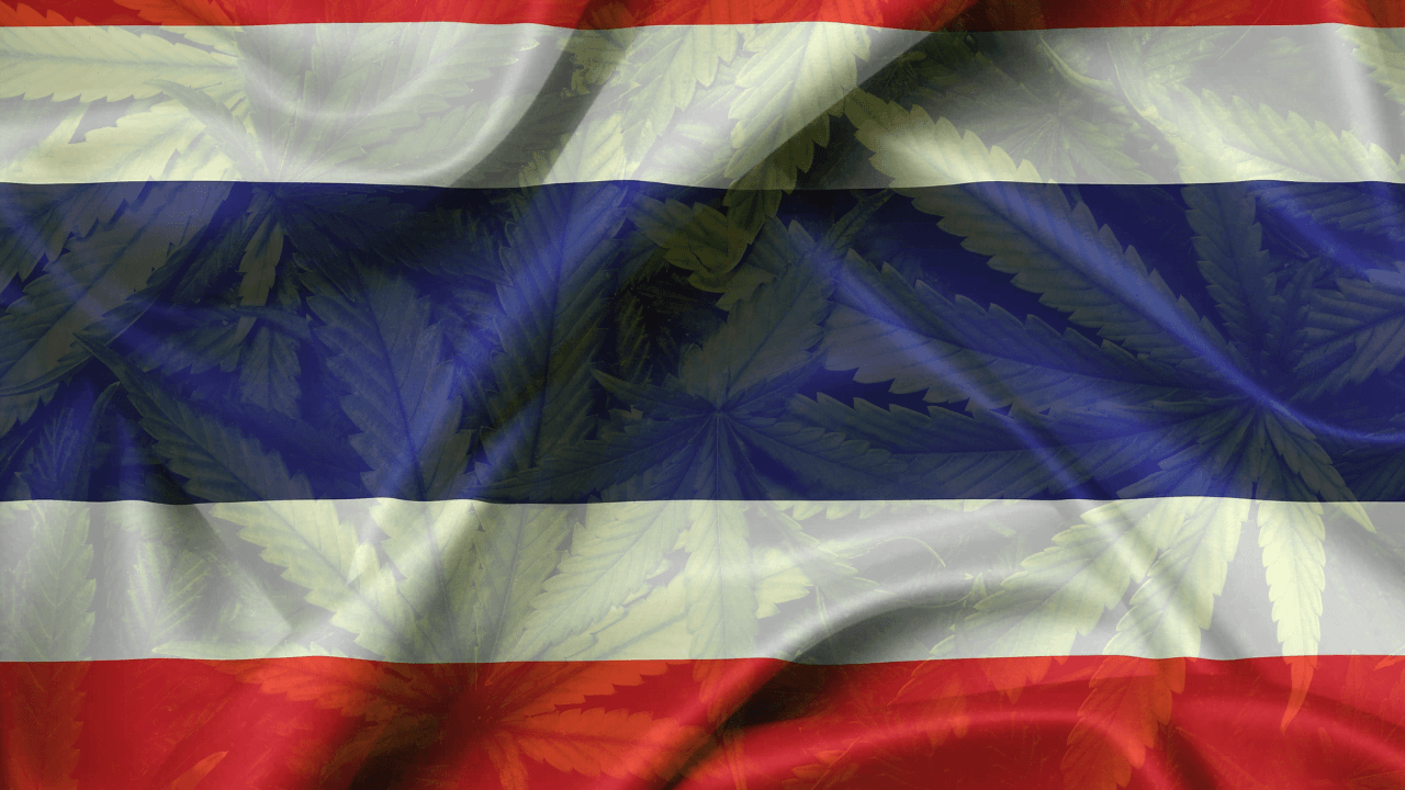 Cannabis in Thailand