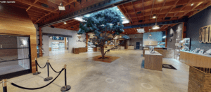 ERBA SAWTELLE’S 360 VIRTUAL TOUR