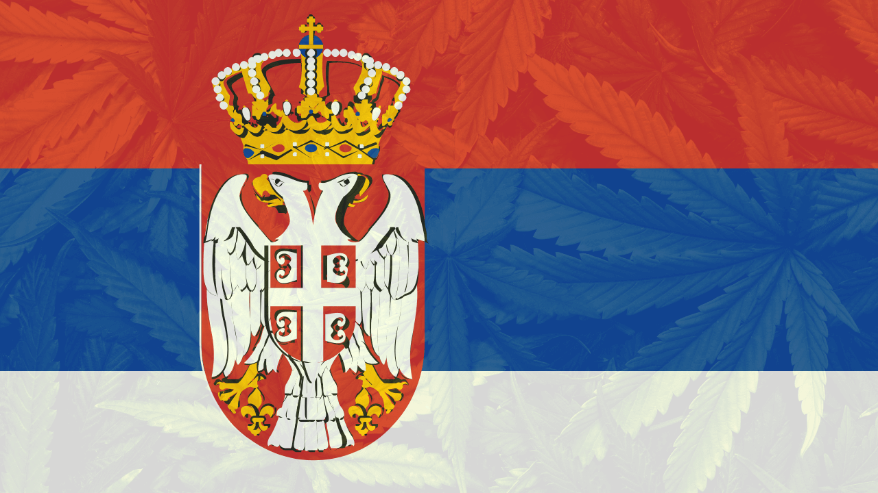 Cannabis In Serbia