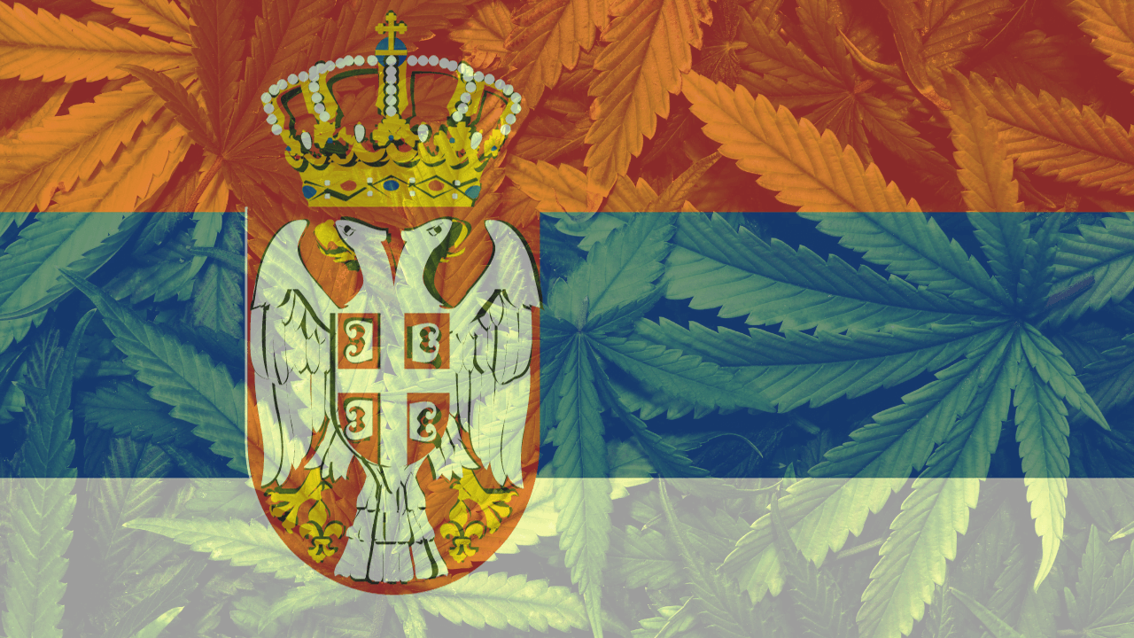 Cannabis in Serbia