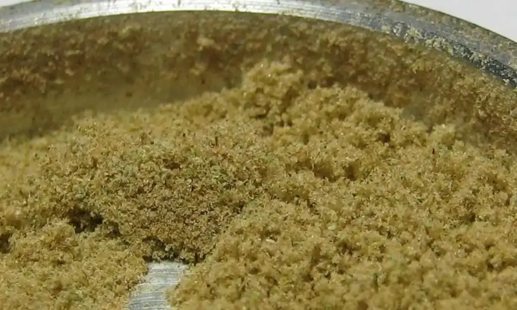 Kief