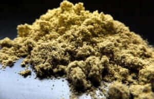 What is Kief