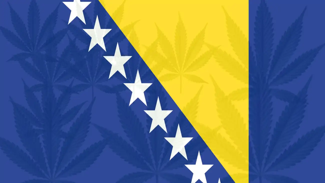 Cannabis Legalization in Bosnia and Herzegovina