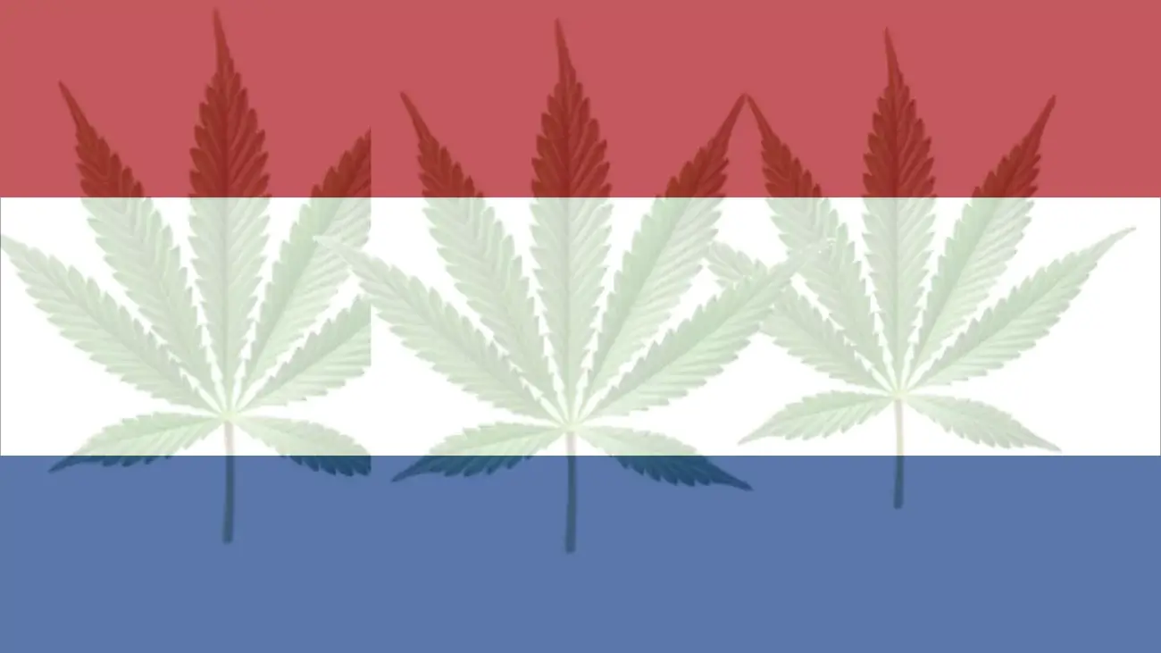 Cannabis Legalization in Netherlands