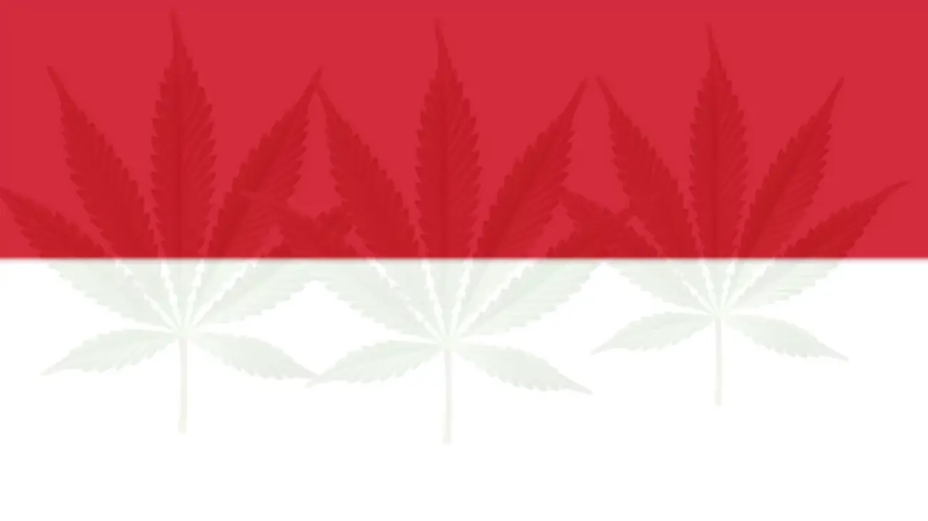 Cannabis Legalization in Monaco