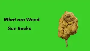 What are weed sun rocks?