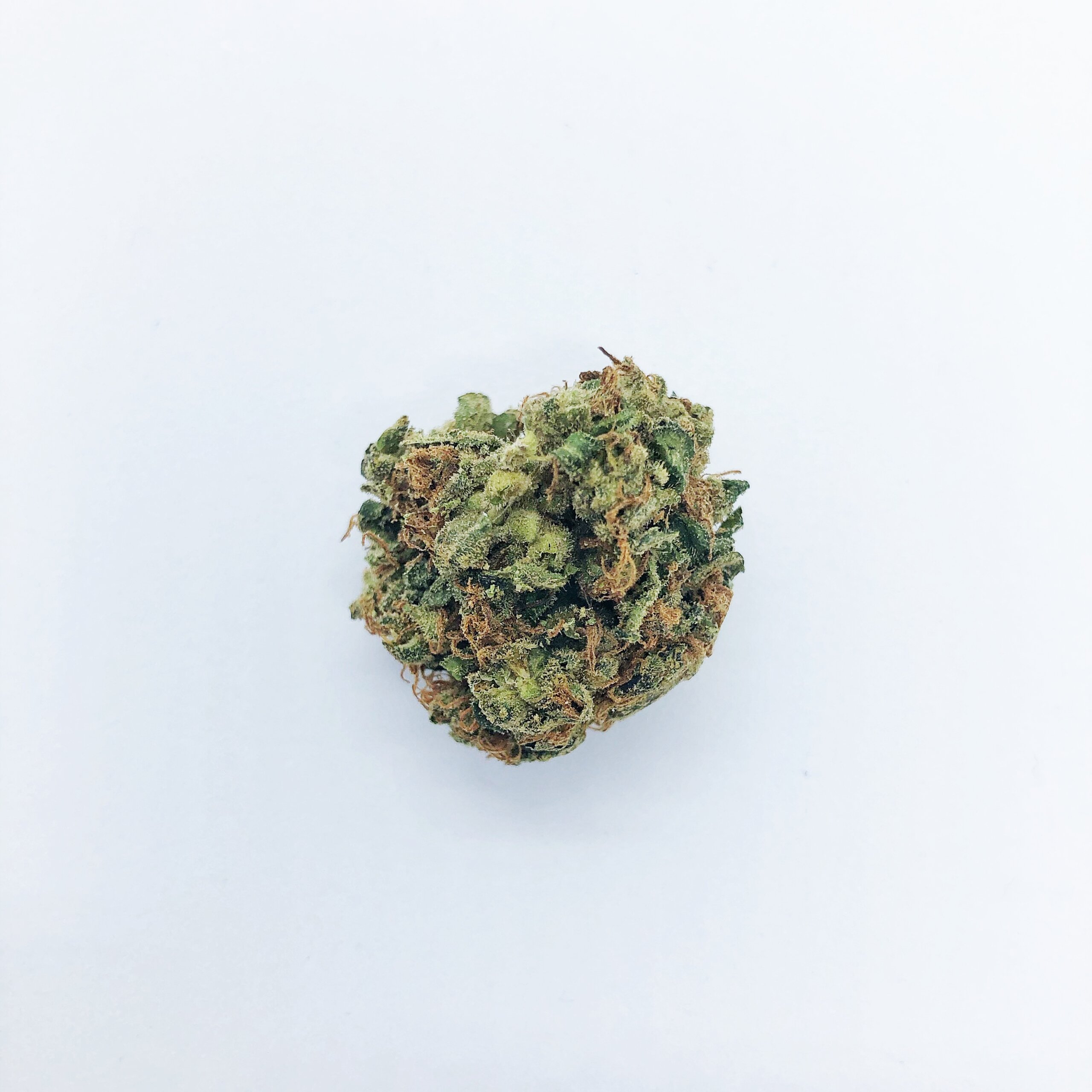 Cured cannabis flower bud with rust-colored pistils against a white background, representative of the indoor flower category Ascend Wellness Holdings produces under its relaunched Ozone lifestyle brand for the Illinois market