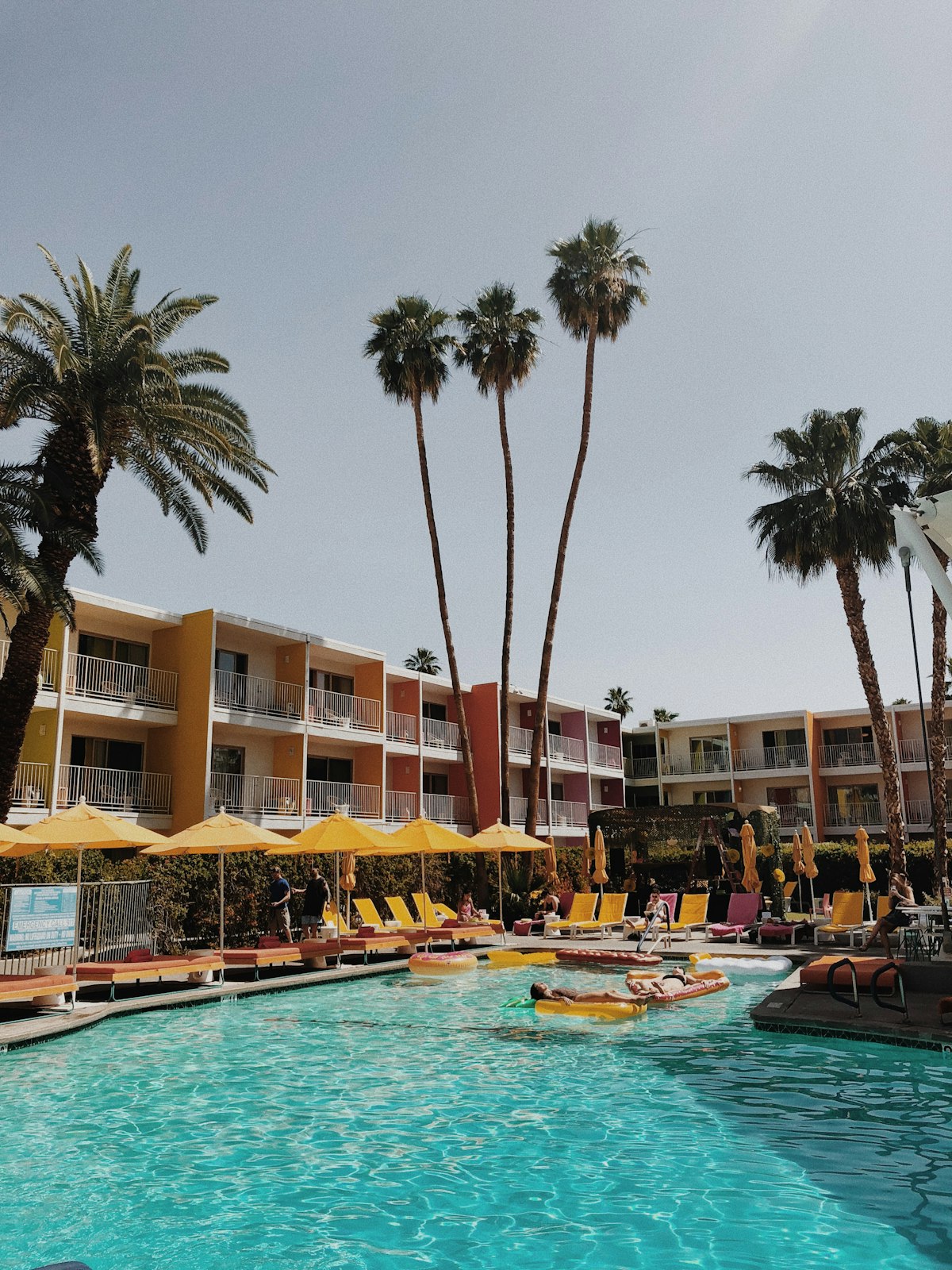 Cathedral City mid-century desert architecture and palms near the West Coast Cannabis Club flagship on Ramon Road