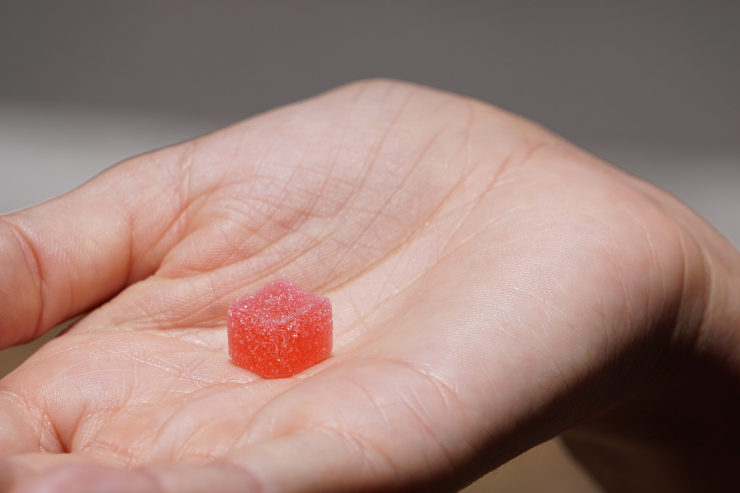 Cannabis-infused gummy resting in an open palm, representative of the chef-led artisanal edible category Cresco Labs produces under its Mindy's brand for the Illinois adult-use market