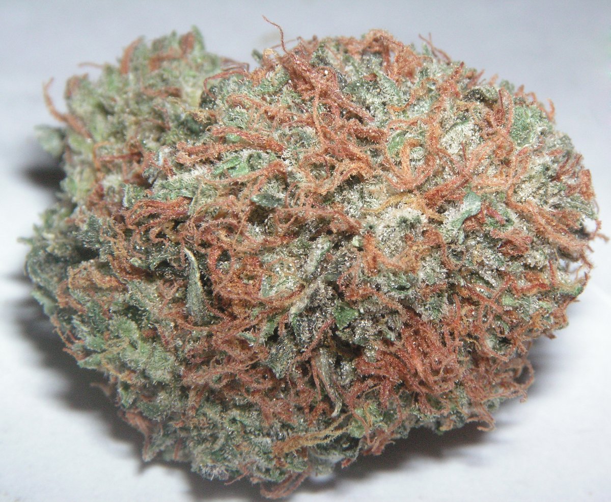 Macro shot of a frosty cannabis flower bud, similar to the dense indoor Apples and Bananas eighths House of Dank 8 Mile sells from its in-house cultivation line in Detroit