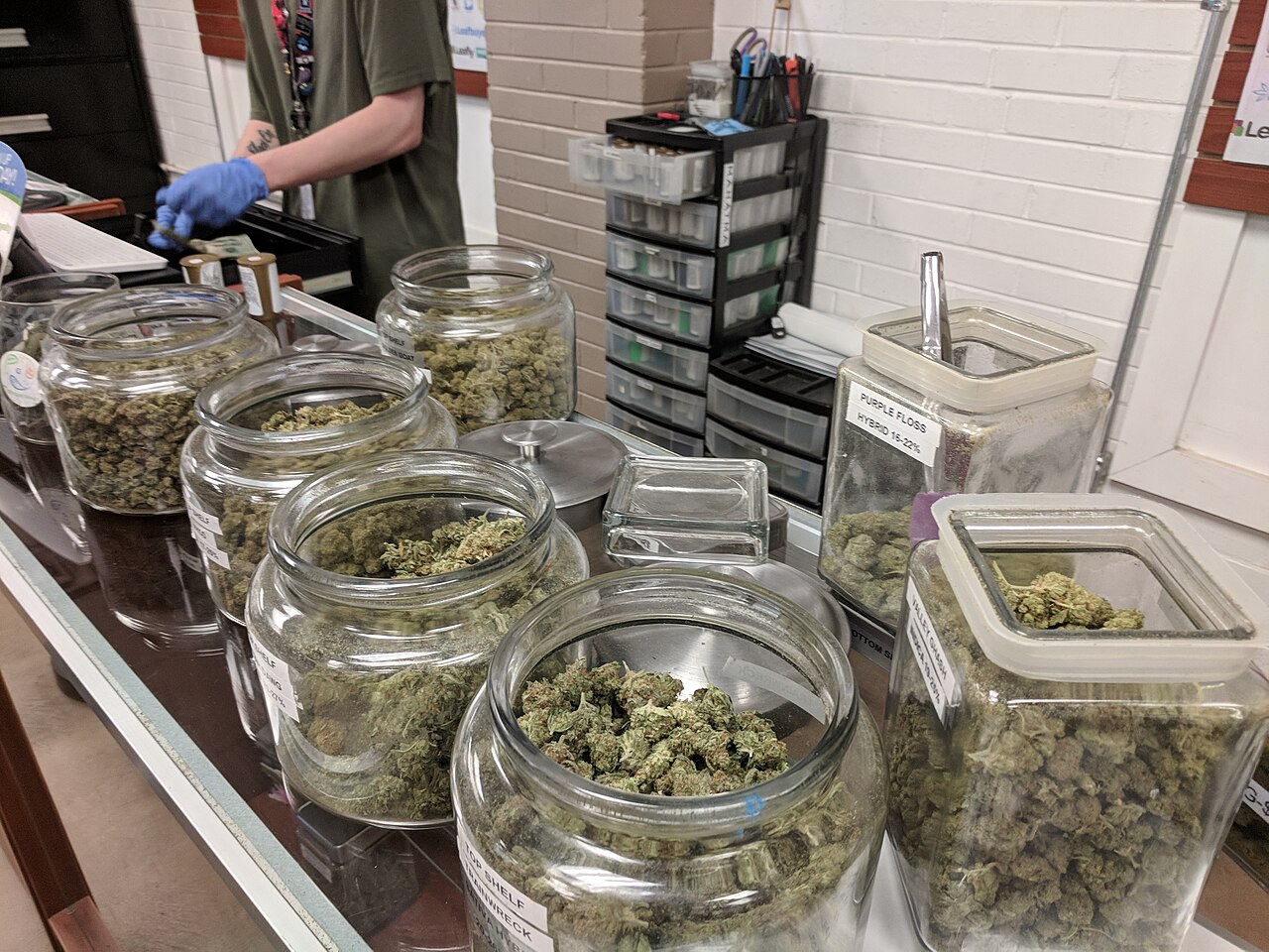 Premium indoor cannabis flower in glass jars at a California dispensary, the connoisseur tier where Dr. Bombay competes at $80 to $90 per eighth