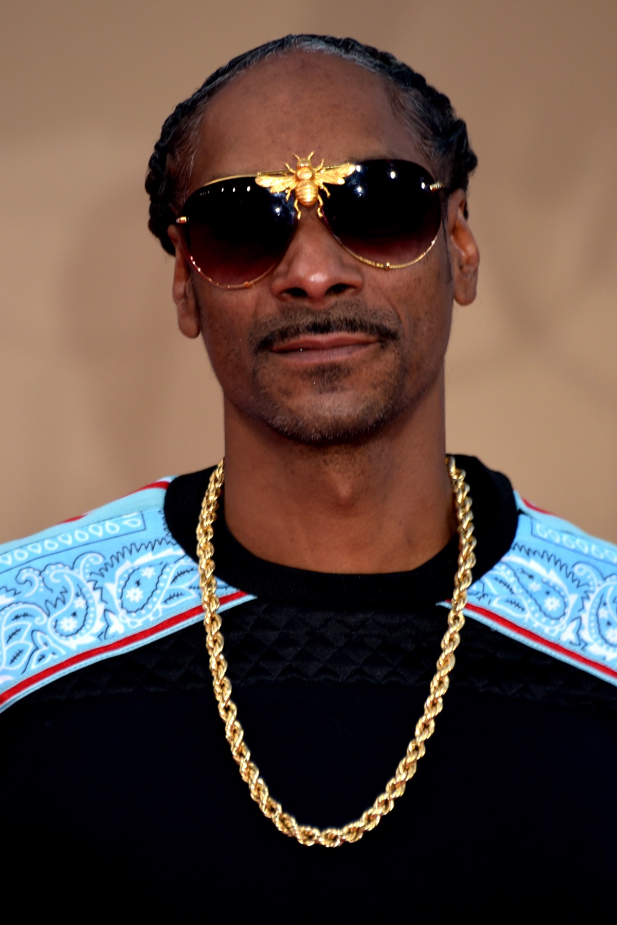 Snoop Dogg portrait, the founder of Death Row Cannabis, Dr. Bombay, and Casa Verde Capital