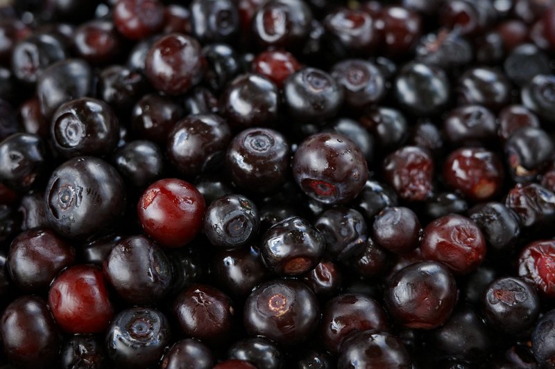 Wyld official elderberry brand macro showing dark whole elderberries used as the brand's signature product imagery