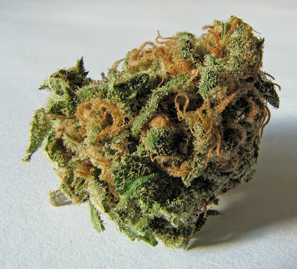 Macro shot of a cannabis flower bud showing dense trichome coverage and orange pistils, similar to top-shelf indoor flower stocked at Torrey Holistics