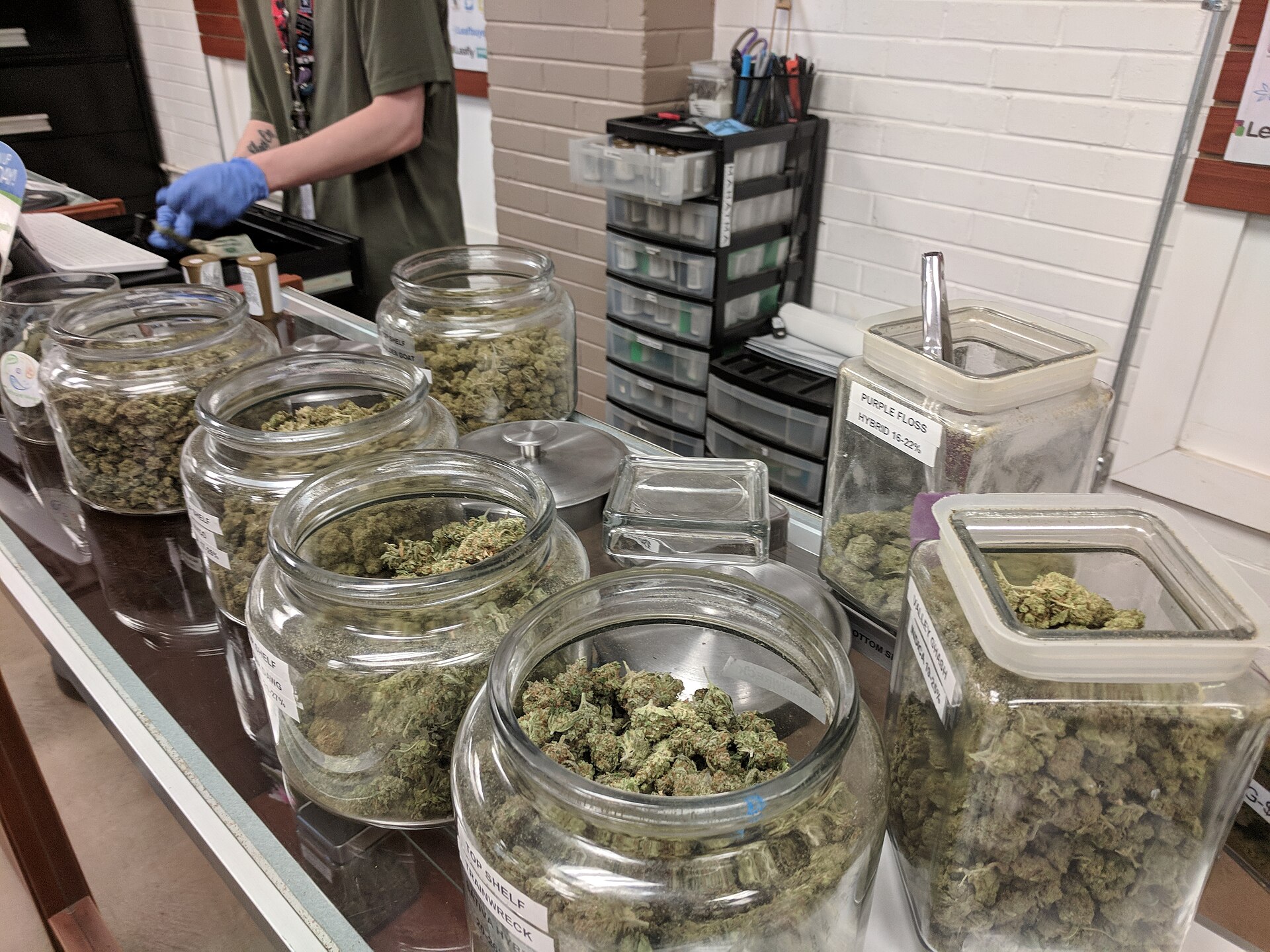 Cannabis flower jars in glass display with budtender behind a Detroit-area dispensary counter