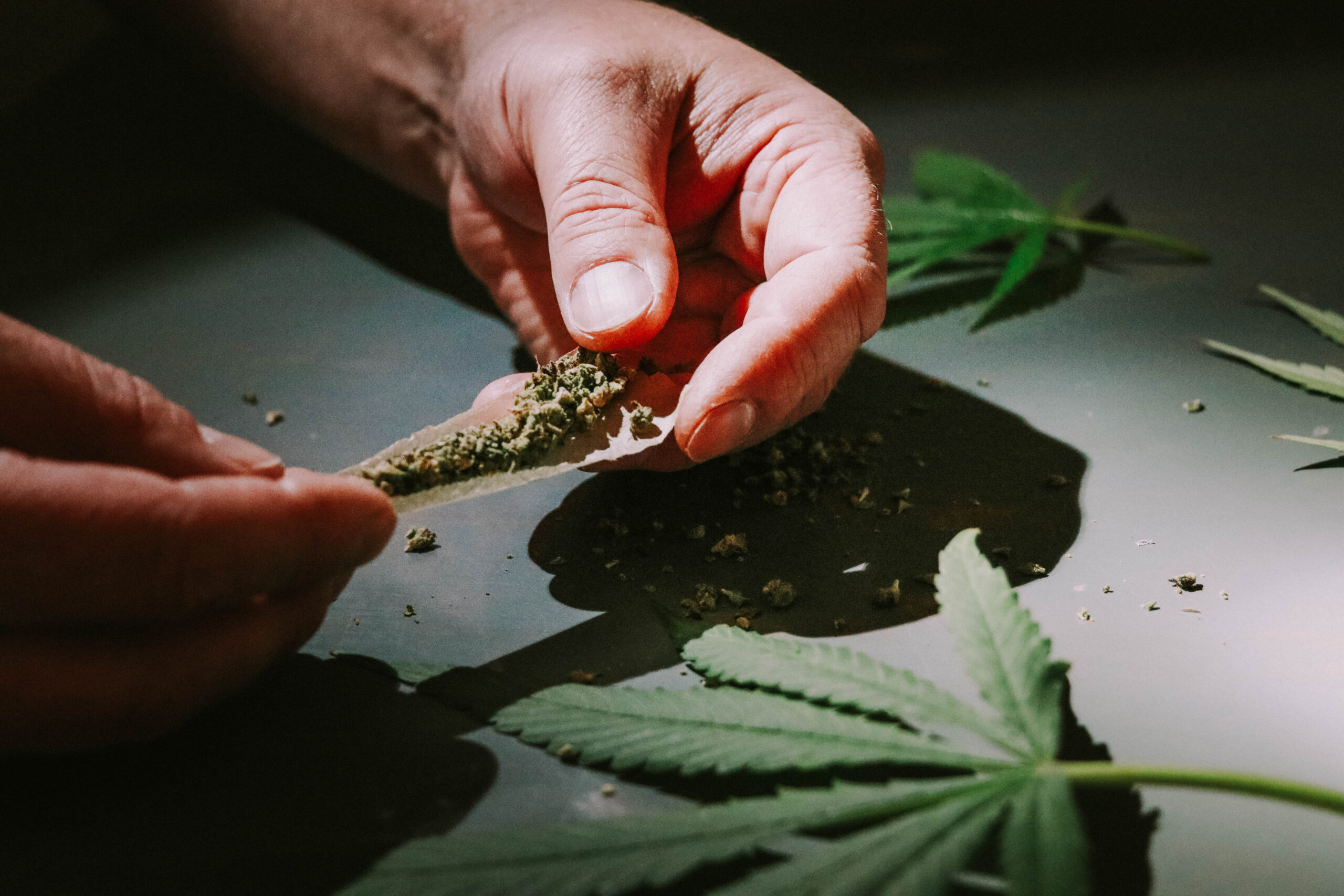Hands rolling a cannabis joint on a wooden surface with ground flower spread across the paper